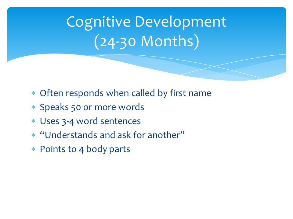 Cognitive development 24 months sales